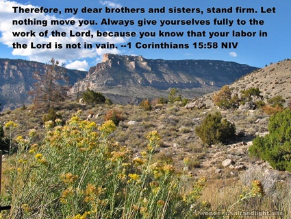 1 Corinthians 15:58.