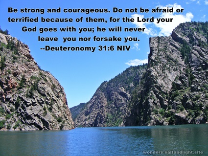 Deuteronomy 31:6