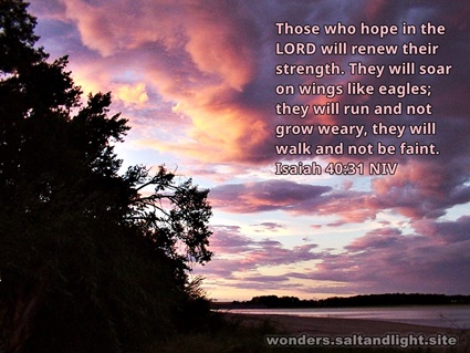 Isaiah 40:31