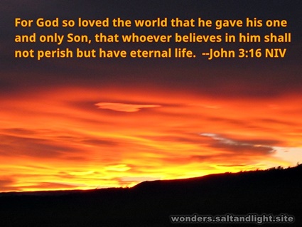 John 3:16