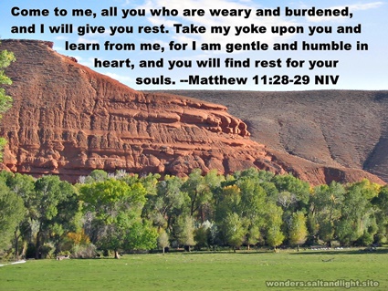 Matthew 11:28-29