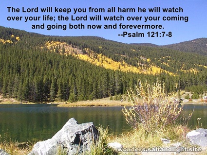 Psalm 121:7-8
