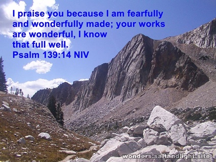 Psalm 139:14