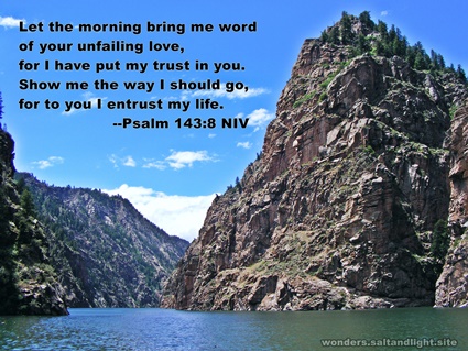 Psalm 143:8