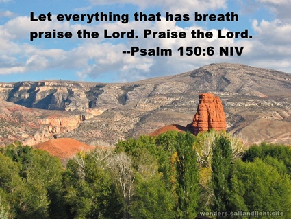 psalm 150:6