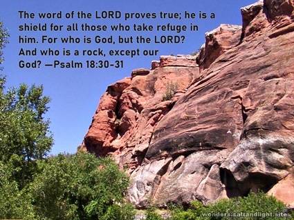 Psalm 18:30-31