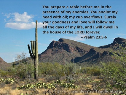 Psalm 23:5-6