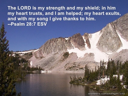 Psalm 28:7