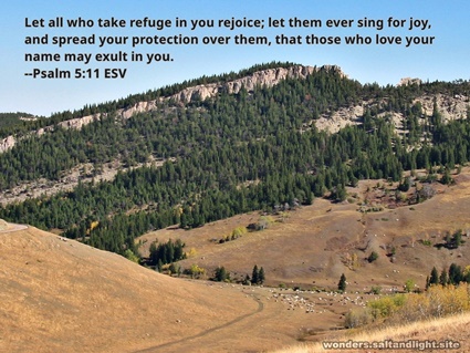 Psalm 5:11