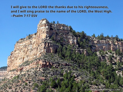 Psalm 7:17