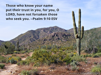 Psalm 9:10