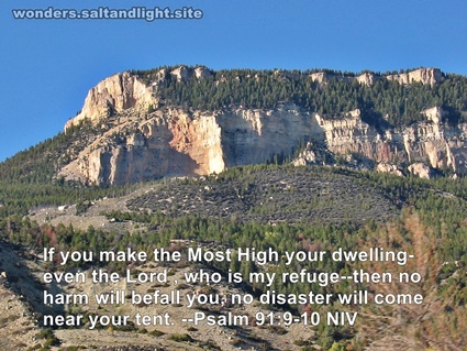 Psalm 91:9-10