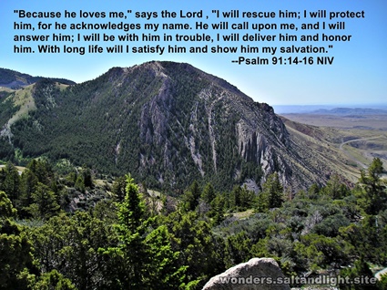 Psalm 91:14-16