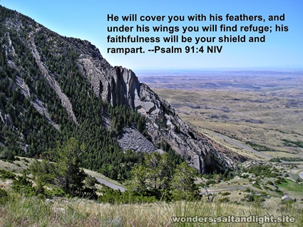 Psalm 91:4