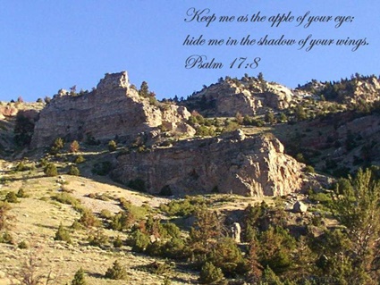 Psalm 17:8 thumbnail