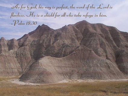 Psalm 18:30 thumbnail