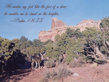 Psalm 18:33 thumbnail