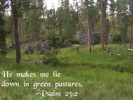 Psalm 23:2 thumbnail