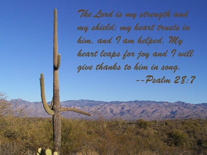 Psalm 28:7 thumbnail