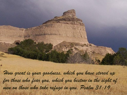 Psalm 31:19 thumbnail