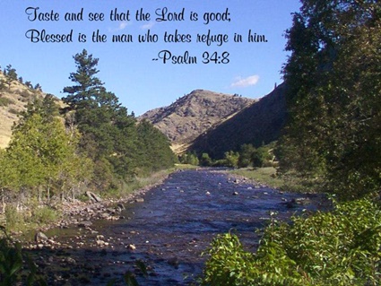 Psalm 34:8 thumbnail