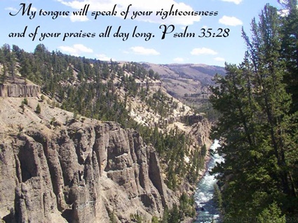 Psalm 35:28 thumbnail