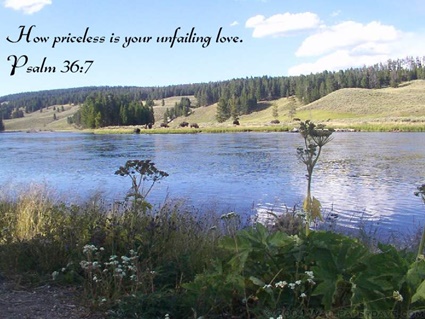 Psalm 36:7 thumbnail