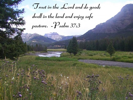 Psalm 37:3 thumbnail