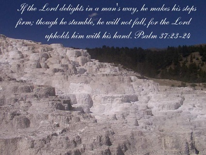 Psalm 37:23-24 thumbnail