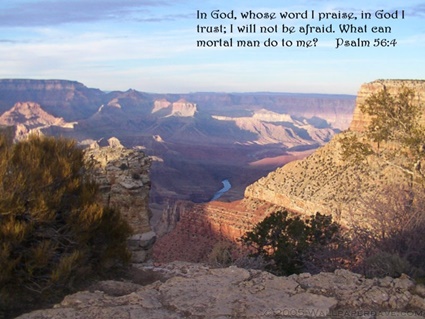 Psalm 56:4 thumbnail