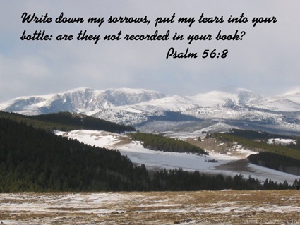 Psalm 56:8 thumbnail