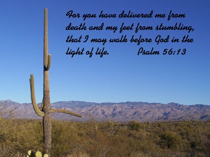Psalm 56:13 thumbnail