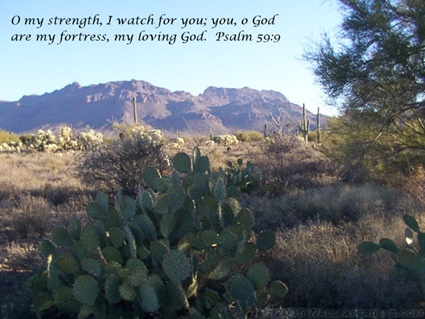 Psalm 59:9 thumbnail