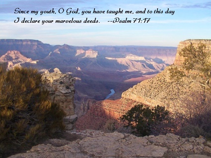 Psalm 71:17 thumbnail