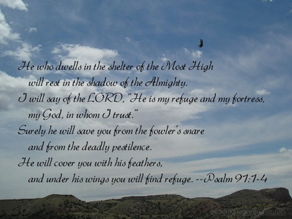 Psalm 91:1-4 thumbnail