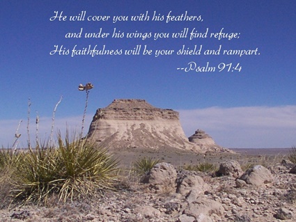 Psalm 91:4 thumbnail