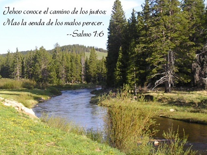 Salmo 1:6 thumbnail