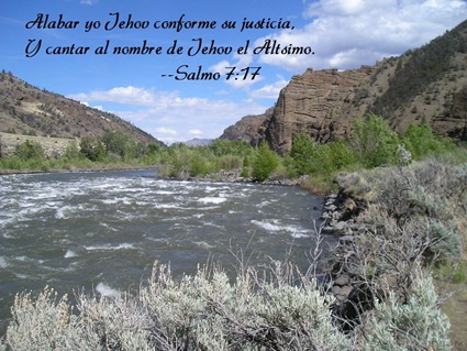Salmo 7:17 thumbnail