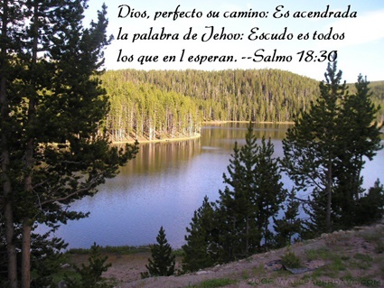 Salmo 18:30 thumbnail