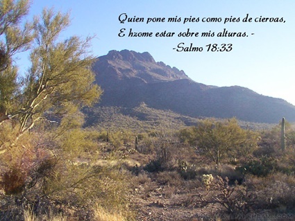 Salmo 18:33 thumbnail