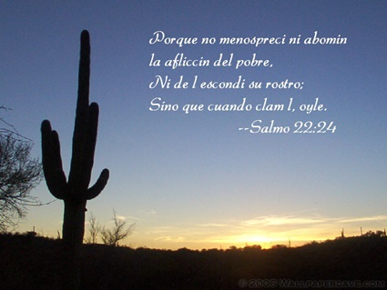 Salmo 22:24 thumbnail