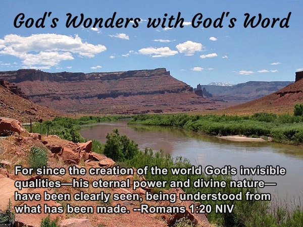 God's Wonders with God's Word with Romans 1:20